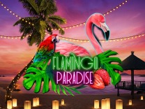 Flamingo Paradise